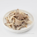 Mushroom de ostra gris congelado-100g